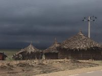 IMG_2595