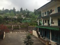 IMG_2602