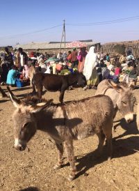 IMG_2842